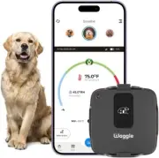 Waggle Pet Temperature Monitor for Caravans & Campervans | 24/7 Temp