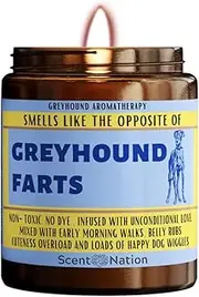Scent Nation Australia Greyhound Gifts Vanilla Caramel Odor Eliminating Dog Candle - 95% Pet & Smoke Smell Removal, 50 Hour Burn, 100% Soy Wax, Vegan, Australian Made