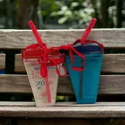 Patriotic Tumblers Water Bottle w/ Straps & Straw Portable Travel Flask 2 Cups