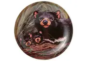 Ashdene Fauna of Australia - Tasmanian Devils Trinket Dish