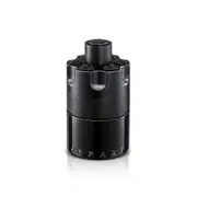 The Most Wanted Intense 100ml EDP By Azzaro (Men's)