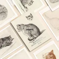 在飛比找蝦皮購物優惠-正版折價/貓咪素描技法高清臨摹卡藝術明信片畫作文創留言卡油畫