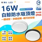 【DANCELIGHT 舞光】5入 白鯨系列 LED 16W 吸頂燈 防水係數IP66(白光/黃光)