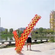 Dragon Dance Fitness Dragon Dance Streamers with 3D Dragon Head Adult and Kids Silk Fabric Dragon Fitness Ribbon for Outdoor Sports Outdoor