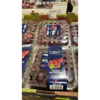 在飛比找蝦皮購物優惠-第二賣埸祕魯無籽紅葡萄1.3公斤（低溫配送）#2283337