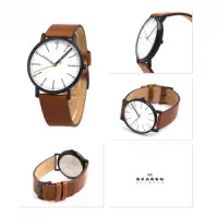 在飛比找蝦皮購物優惠-Skagen Signatur經典系列腕錶