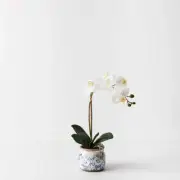 Artificial Orchid Phalaenopsis in Scarla Pot - White