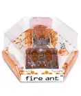 HEXBUG Micro Robotic Creature Fire Ant Orange Remote Control NEW