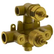 Waterworks SS-THVD2 Thermostatic Valve with Volume Control and 2-Way Diverter