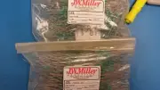 (5 PCS) 9310-16 JW MILLER Fixed R.F. Inductors Unshielded 1.5uH 10%