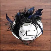 Feather Headband Easter Festival Hair Accessories Colors Hair Band Party Headpiece Women Flapper Feather Headband Decoration Crown White Feather Headband (Size : Navy Blue)