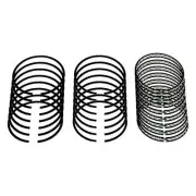 Premium Piston Ring Set With Coating Fits 1977-1979 Pontiac Firebird