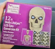 Home Accents 12 ft. Skeleton Skelly Eye Kit Holiday Halloween Home Depot