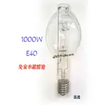 "附發票【貓尾巴】1000W 220V E40 水銀燈泡 免安用水銀燈泡 清玻 另加購燈頭_