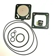**VITON** ONGA PUMP BLAZEMASTER OVERHAUL SEAL KIT - B55 B65 BM55 BM65 - 801364K