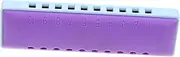 ERINGOGO 10-hole Boys and Girls Harmonica c Key Blues Harmonica Set Diatonic Accordion for Beginners for Blues Folk Classical Music