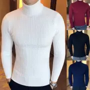 Mens Winter High Neck Thick Warm Sweater Turtleneck Knitwear Slim Fit Pullover