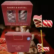 HARRY & DAVID CANDY CANE SALT AND PEPPER SHAKERS RIBBON CANDY CHRISTMAS