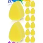 24 Pcs Face Paint Sponge Petal Face Painting Sponges for Kids Adults Art5256