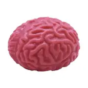 2x Brain Squeeze Ball Novelty TPR Soft Rubber Slow Rebound Stress Ball Reliever