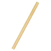 Reusable Bamboo Straw - single