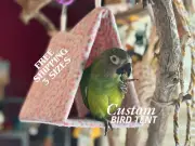 Fleece Cozy Bird Tent Medium (5"X8") for Conure Quaker Caique Cockatiel Size