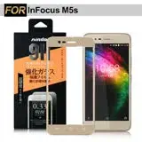 在飛比找遠傳friDay購物精選優惠-NISDA InFocus M5s 滿版鋼化玻璃保護貼-金色