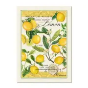 Michel Design Works Towel "Lemon Basil" Yellow Green Kitchen Fruit