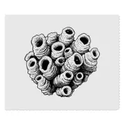 2 x 'Enclave of Barnacles' Lens Cleaning Cloths (LC00031915)