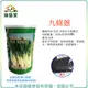 【綠藝家】大包裝00D08.九條蔥種子20克(約9000顆)