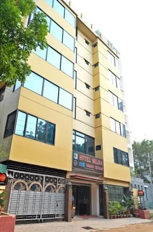 米利娜飯店Hotel Milina