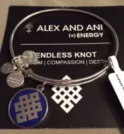 Alex And Ani Endless Knot Silver Blue Charm Epoxy Bangle Bracelet w/Card & Pouch
