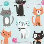 Purr-Fect Kitty Cat Party Beverage Napkins Paper 16 Per Pack Girls Tableware