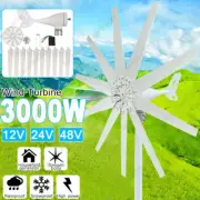 3000W 10 Blades Wind Turbine Power Generator Windmills W/ MPPT Charge Controller