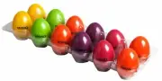 12 x MANO PERCUSSION Maracas Egg Shakers 6 Colours Yellow Purple Green