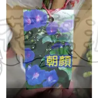 在飛比找蝦皮購物優惠-花幫派_季節花卉物植—牽牛花「朝顏」--爬藤花卉~常年開花/