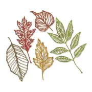 Tim Holtz Sizzix Thinlits Die ~ SKELETON LEAVES ~ Alterations 663094