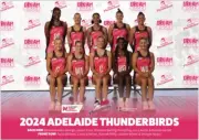 ADELAIDE THUNDERBIRDS CHAMPION NETBALL TEAM POSTER,FREE POST, BRGN,1