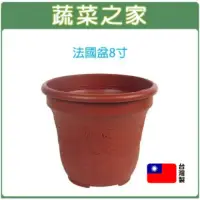 在飛比找momo購物網優惠-【蔬菜之家】法國盆8寸(歐洲盆 花盆 花槽 栽培盆 種植盆 