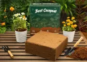 9 Lbs Best Coco Peat - Premium Coir Pith Block, Expands to 13 Gallon,Low EC