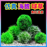 在飛比找蝦皮購物優惠-台灣水草大王【仿真海膽球水草】大、小尺寸 仿真水草 魚缸造景