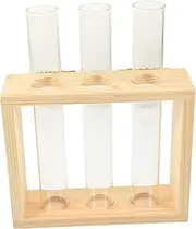 Kisangel 1 Set Hydroponic Flower Vase Wall Mounted with Propagation Tubes Office Decoration for Plants Flowers Natural Beauty Display
