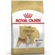 ROYAL CANIN法國皇家-柴犬成犬S26 4KG