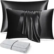 DISANGNI 100% Natural Mulberry Silk Pillow case for Hair and Skin with Hidden Zipper 22 Momme Both Sides Real Silk Pillow Case (2pc Standard Size 20" x26" Black)