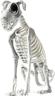 Halloween Skeleton Dog Sitting Animals Skeleton Decoration, Skull Puppy Halloween Decor for Yard Garden Lawn, Halloween Dark Terror Animals Skeleton Decorations for Party Props