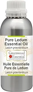 Greenwood Essential Pure Ledum Essential Oil (Ledum groenlandicum) Steam Distilled Natural Therapeutic Grade 300ml (10 oz)