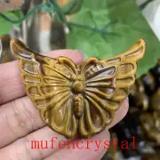 2" Natural Tiger's eye butterflykheadCarved Quartz Crystal Skull Healing 1pc
