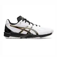 在飛比找Yahoo奇摩購物中心優惠-Asics V-Swift FF 3 [1053A042-1