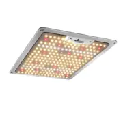 NNEDSZ 1000W LED Grow Light Full Spectrum Indoor Veg Flower All Stage