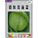 【野菜部屋~】E01 日本初秋高麗菜種子0.55公克 , 梨山高麗菜 , 每包16元~